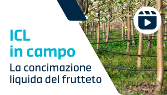 La guida alla concimazione liquida del frutteto