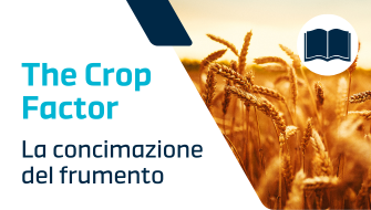 Guida completa alla concimazione del frumento