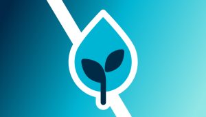 PeKacid Advisor