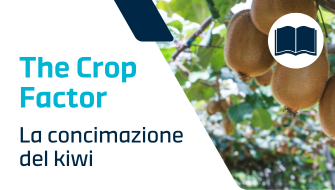 Concimazione del Kiwi: periodi, tecniche e concimi consigliati