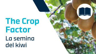 Guida alla semina del kiwi: tempistiche, procedure, consigli per risultati ottimali