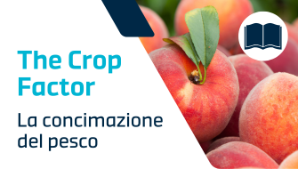 La concimazione del pesco