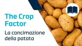 Concimazione della Patata: periodi, tecniche e concimi consigliati