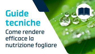Rendere efficace la concimazione fogliare