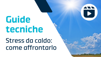 Come gestire i danni causati da eccesso di caldo sulle piante?