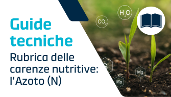 Carenza di Azoto (N): come riconoscerla, sintomi, cause e cura