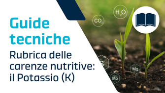 Carenza di Potassio (K): come riconoscerla, sintomi, cause e cura