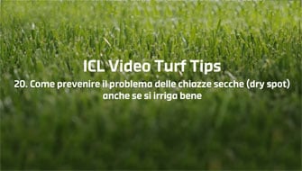 20 | Come prevenire le chiazze secche nel prato – Video Turf Tips