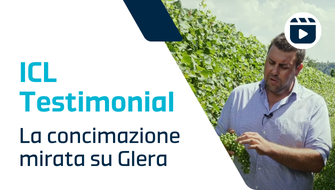 Testimonial: la concimazione per la qualità su Glera