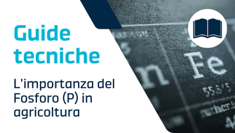 L’importanza del Fosforo (P) in agricoltura