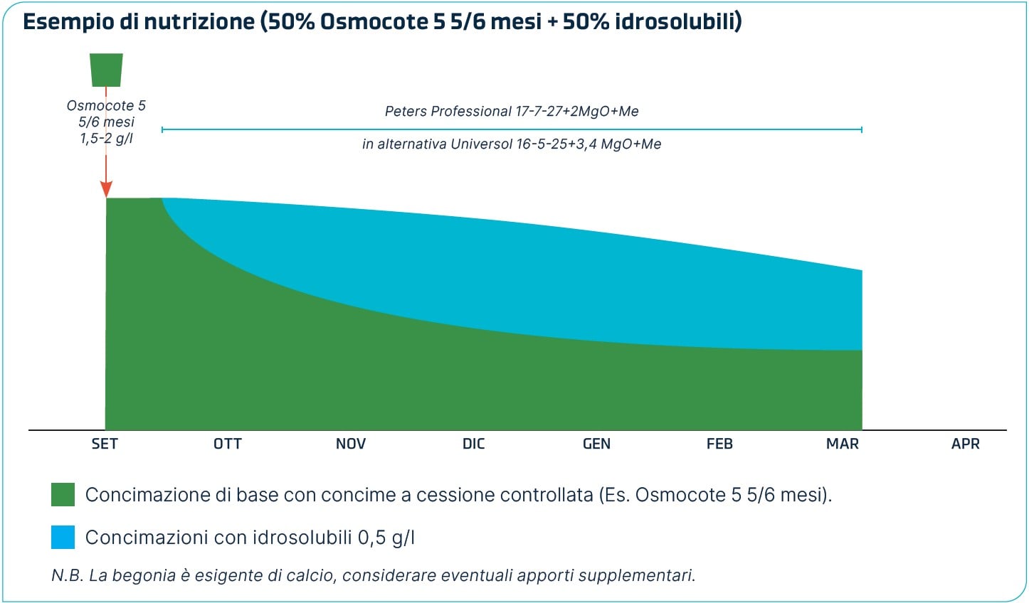 Grafico con esempio di nutrizione mista CRF e idrosolubili per la Begonia eliator