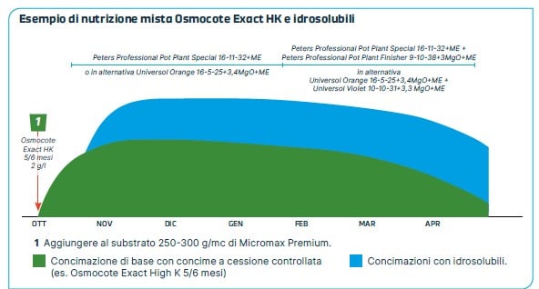 Grafico con esempio di nutrizione mista CRF e idrosolubili per la Primula obconica