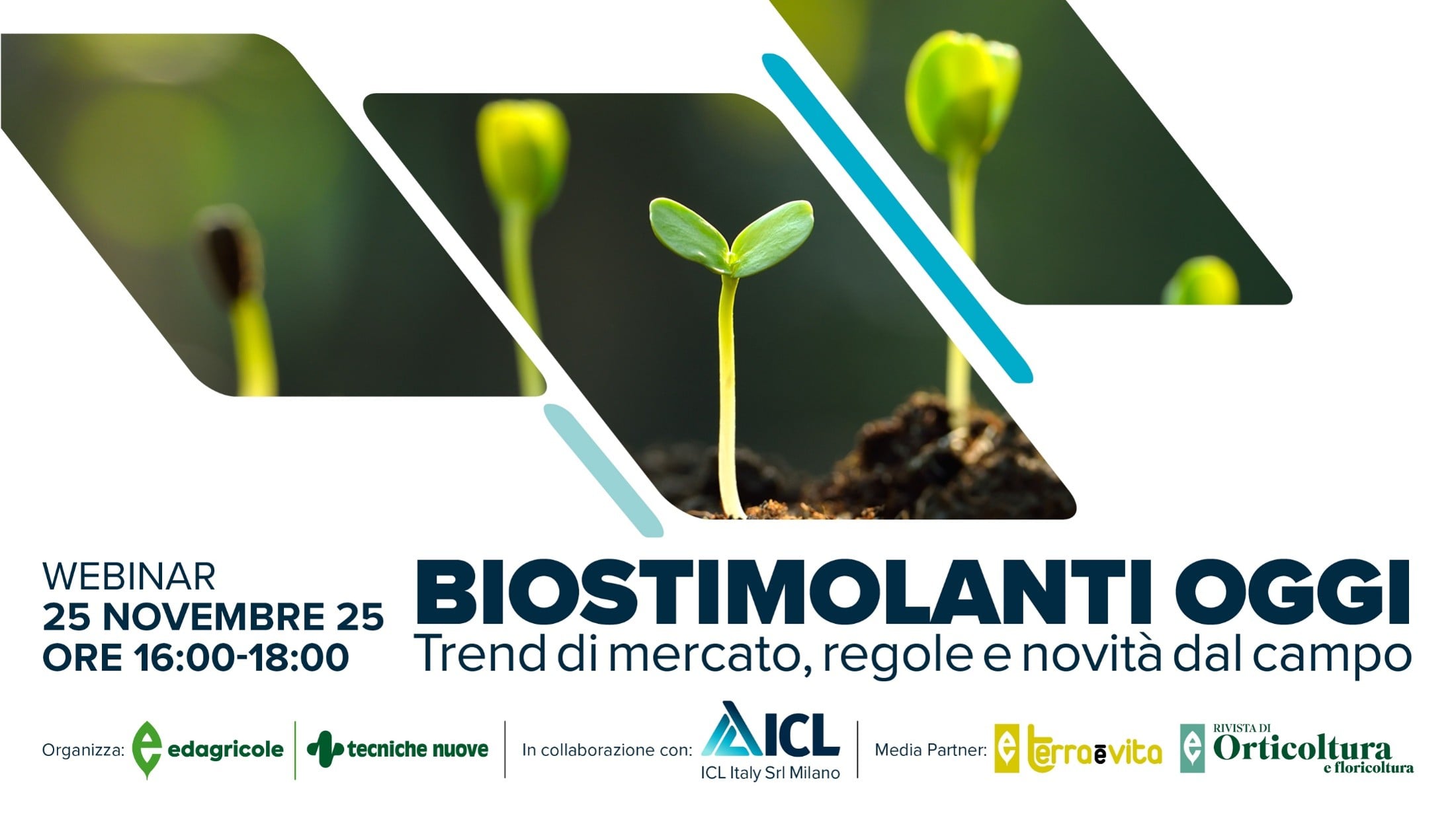 Biostimolanti: innovazione in campo, tra forte espansione e normativa