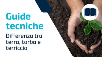 Differenza tra terra, torba e terriccio: la guida completa