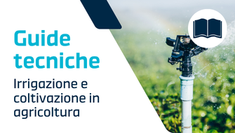 L’irrigazione: trucchi e consigli per ottimizzarla