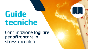 Prepararsi alla stagione estiva: la gestione dello stress termico