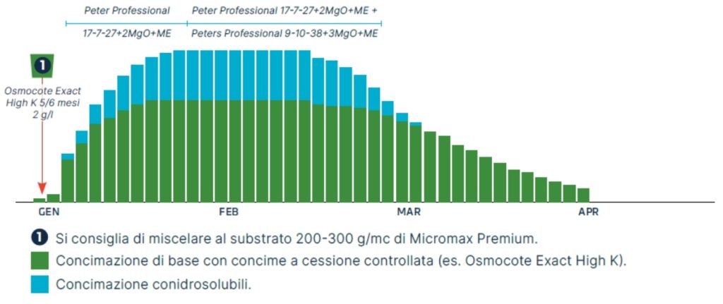 grafico nutrizione mista gerbera