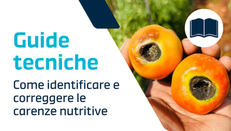 Come correggere le carenze nutritive: cause, sintomi e soluzioni