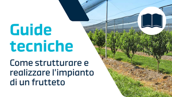 Progettare il frutteto: struttura, scelte e strategie