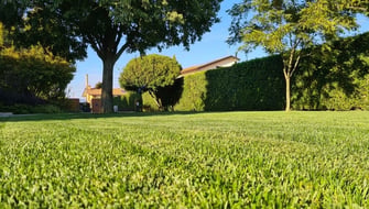 SMART Turf | Audioarticolo Turf Tips