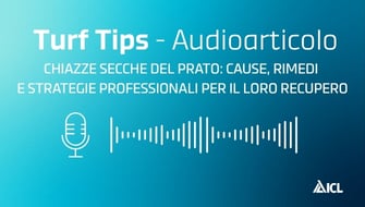 Chiazze secche del prato: cause, rimedi e strategie per il loro recupero| Audioarticolo Turf Tips