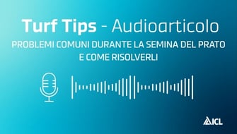 Problemi comuni durante la semina del prato e come risolverli – Audioarticolo Turf Tips