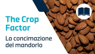 Concimazione del mandorlo: periodi, tecniche e concimi consigliati