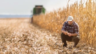 Polysulphate<sup>®</sup>: il miglior fertilizzante per la concimazione autunnale