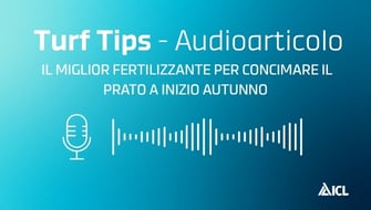 Il miglior fertilizzante per concimare il prato a inizio autunno – Audioarticolo Turf Tips