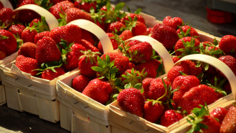 Prova con Nova PekAcid<sup>®</sup> su fragola (Messico)
