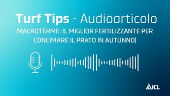 MACROTERME: il miglior fertilizzante per concimare il prato in autunno – Audioarticolo Turf Tips