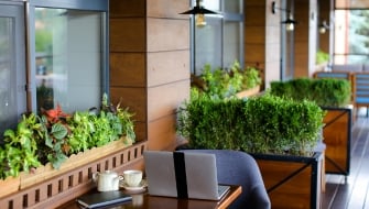 Come curare gli arbusti e siepi in vaso per hotel e spazi pubblici: guida completa