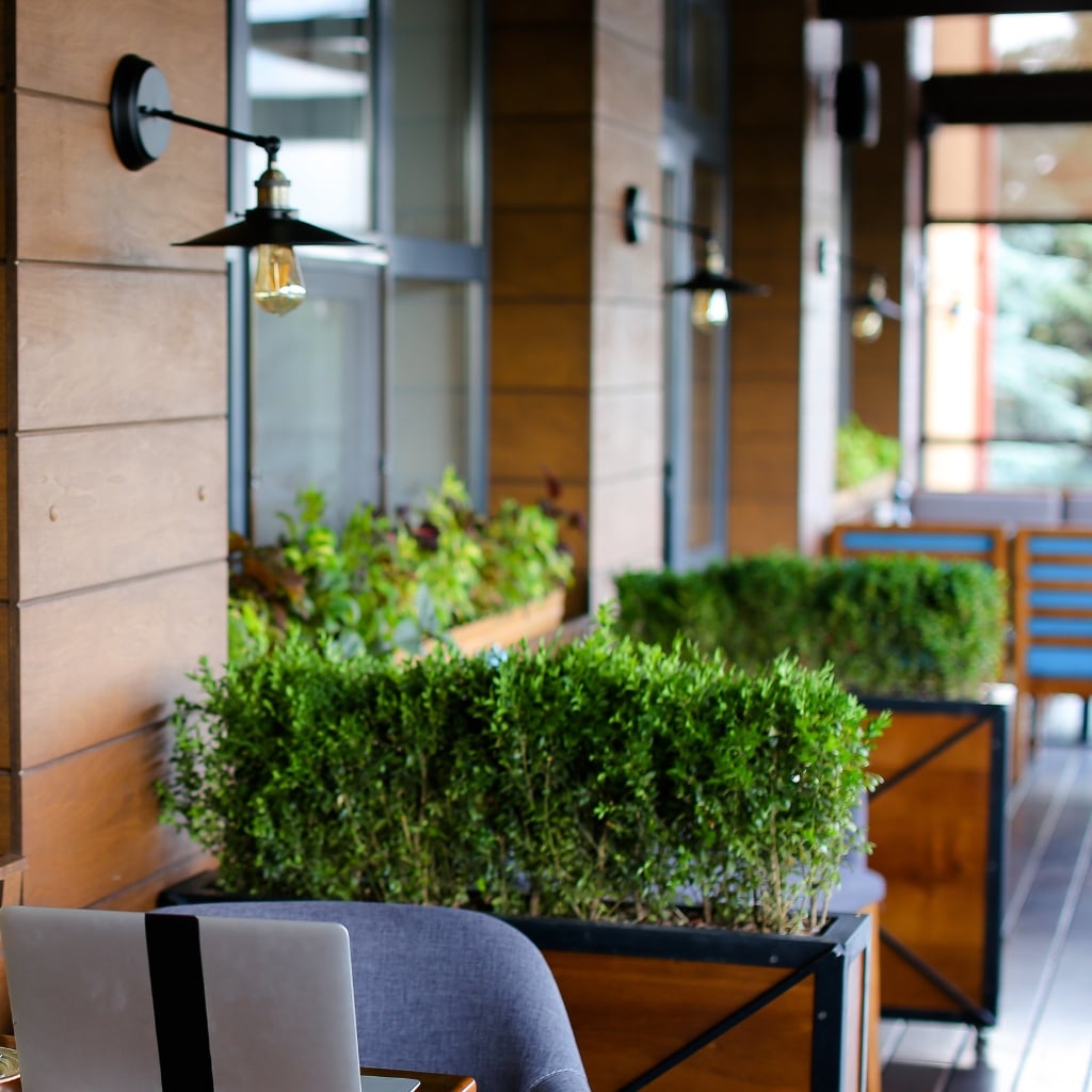 Siepe ornamentale sempreverde coltivata in fioriera in ambiente urbano, esempio di manutenzione professionale di arbusti e siepi per strutture ricettive e commerciali.