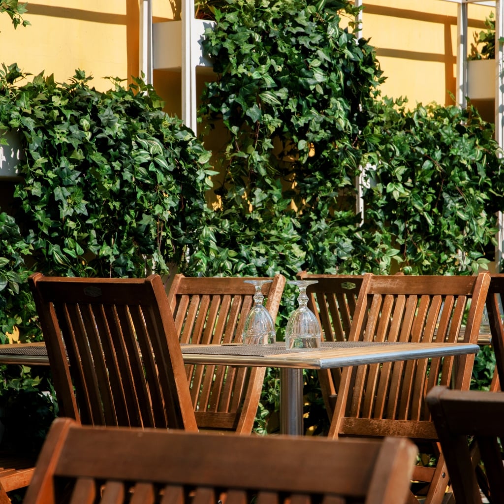 Siepi sempreverdi potate in fioriere decorative per la valorizzazione di spazi esterni di ristoranti e bar e aree del verde ornamentale professionale.