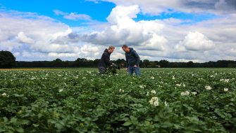 Samen sterk in de aardappelteelt