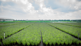 Optimalisatie van watermanagement in moderne substraten