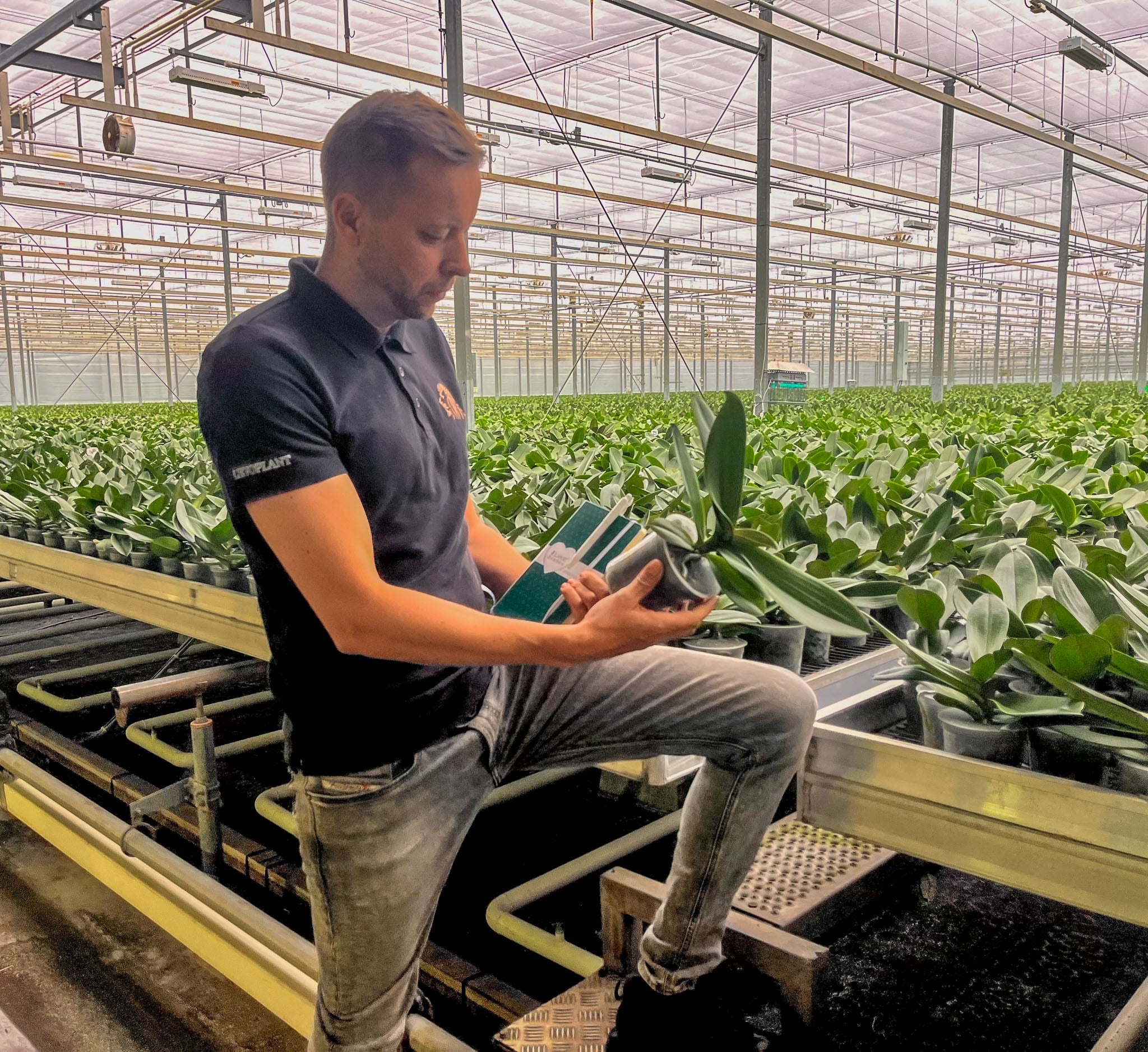 Betrouwbare bemesting als basis voor hoogwaardige orchideeënteelt