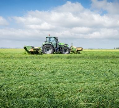 Zwavelbemesting op veengrond loont al vanaf de eerste snede