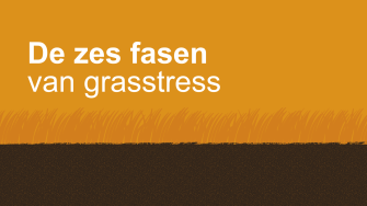 De zes fasen van grasstress