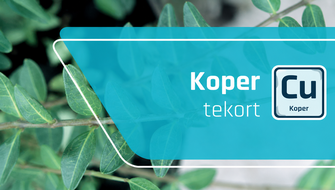 Kopergebrek bij sierplanten: symptomen en behandeling