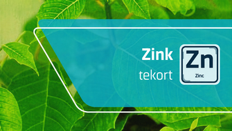 Zinkgebrek bij sierplanten: symptomen en behandeling