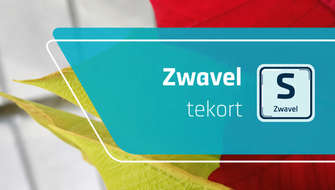 Zwavelgebrek bij sierplanten: symptomen en behandeling