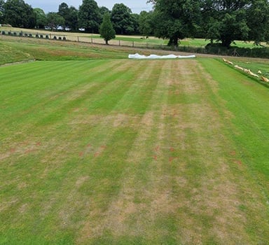 H2Pro TriSmart non-microbial biostimulant trial, Bingley | ICL ANZ