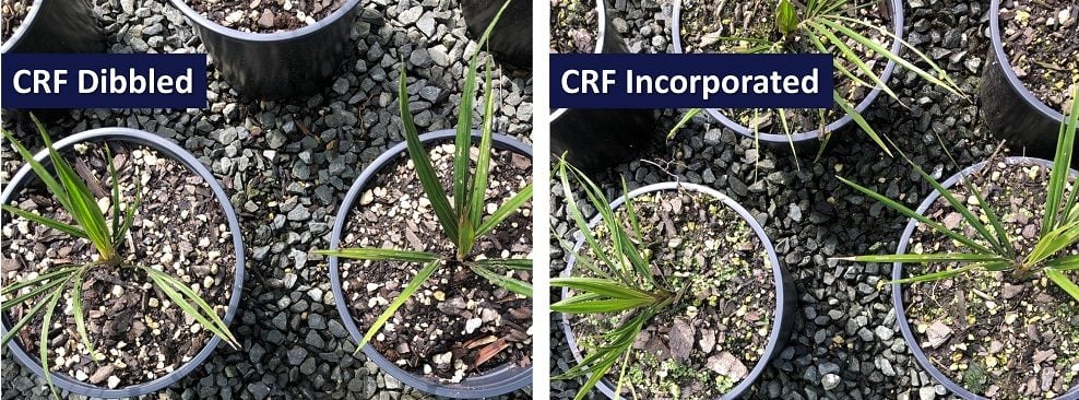 How to Ensure Optimum Growth and Profitability in Nursery Production