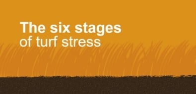 The Six Stages of Turf Stress