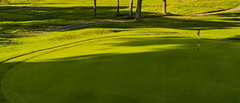How measuring DLI can improve turf management