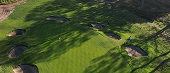 Introducing DLI: The light measurement every turf manager should know