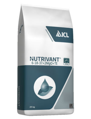 ニュートリバント・プラス・トマト | ICL 公式