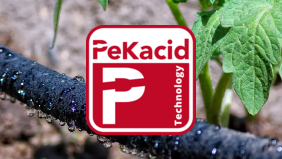 <ruby>PeKacid<rp>(</rp><rt>ペックアシッド</rt><rp>)</rp></ruby> テクノロジー
