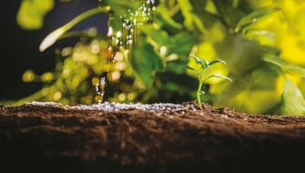 El Polysulphate, un aliado para los microorganismos benéficos